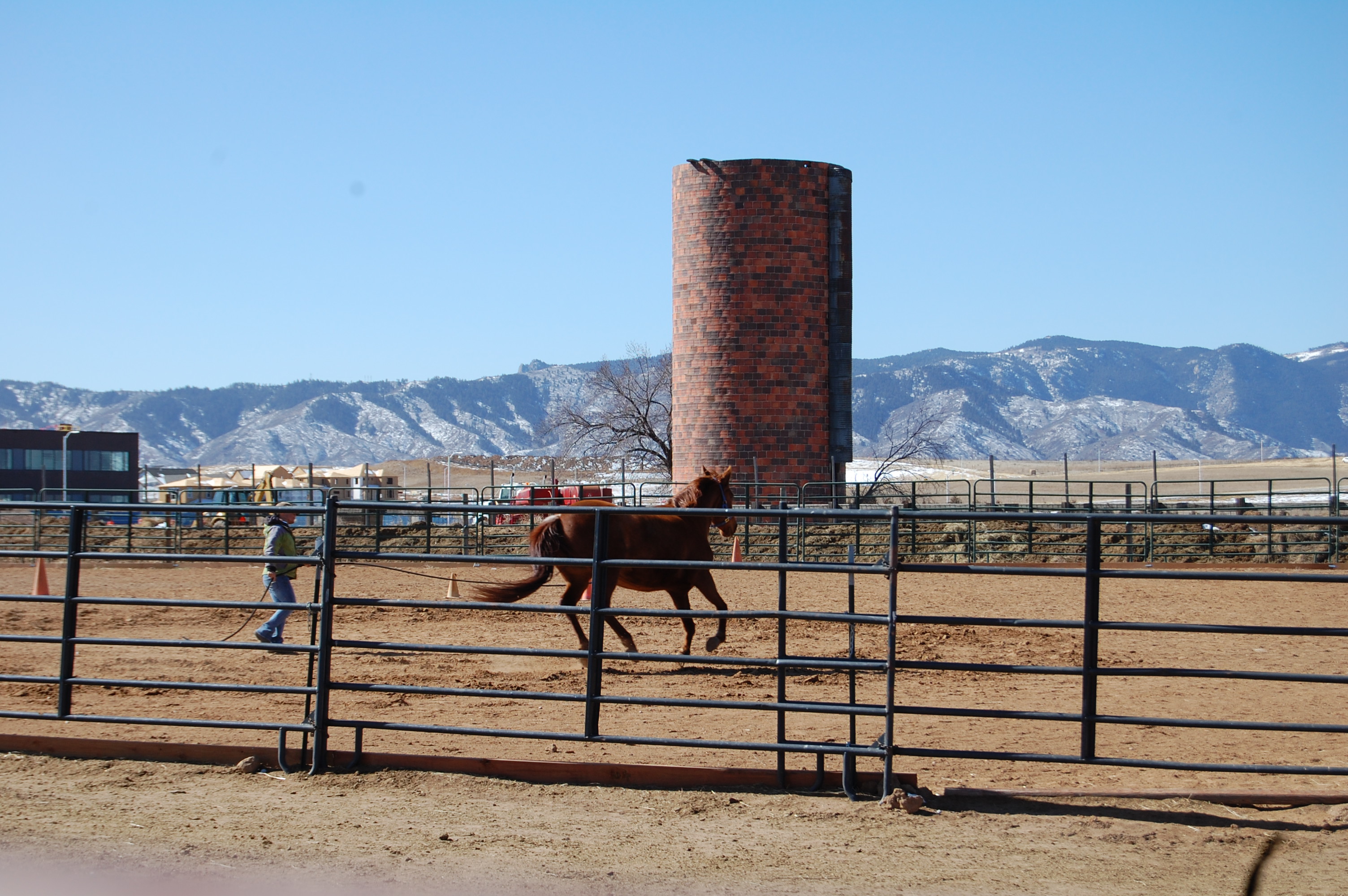 Horse at Happy Dog Ranch