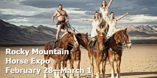 Rocky-Mountain-Horse-Expo