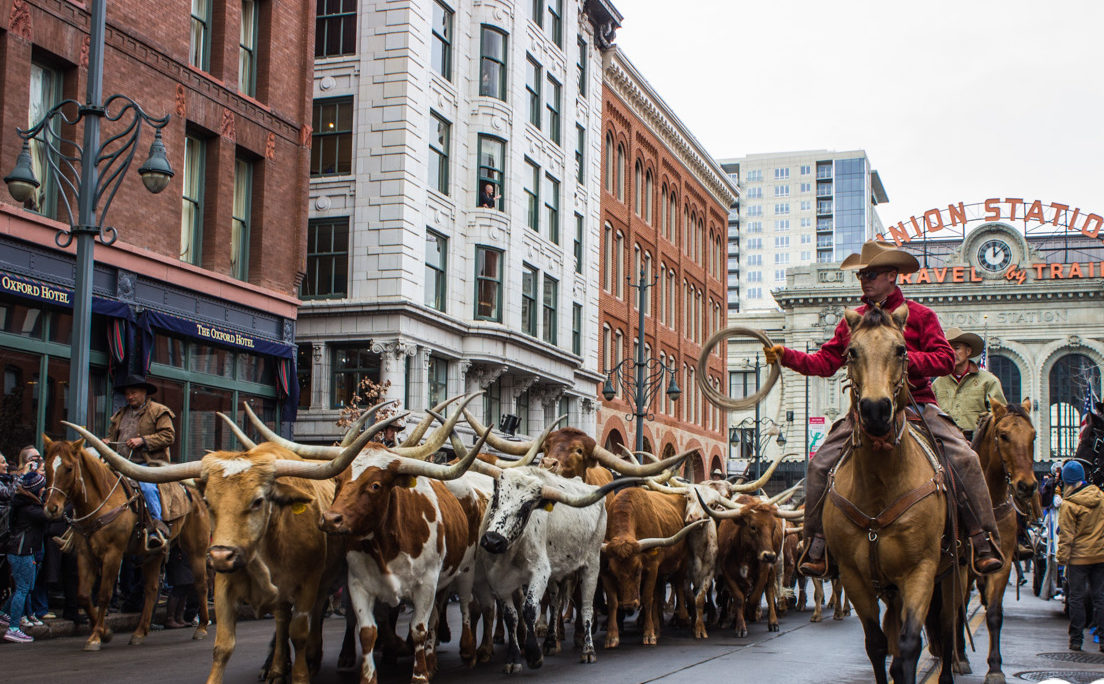 National Western Stock Show Colorado Horse PropertyColorado